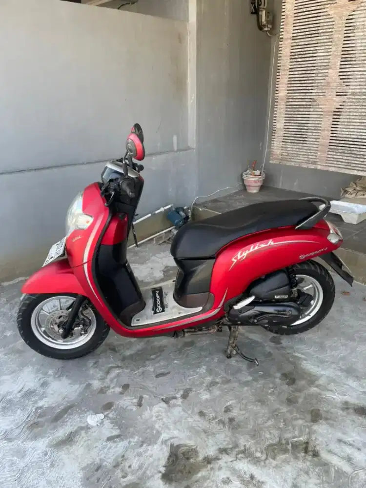 Scoopy staylish 2019