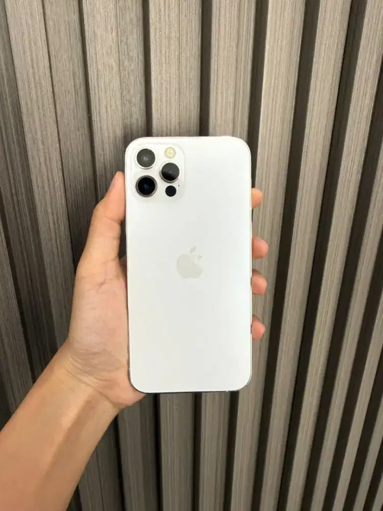 iPhone 12 Pro Max 128/256/512