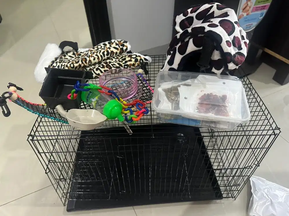 Kandang burung , suger glider , ular dan reptil