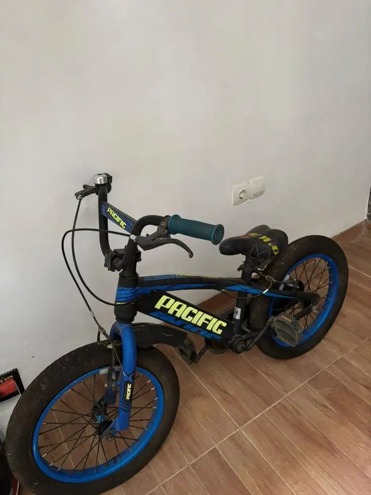Sepeda Pasific kesayangan anak