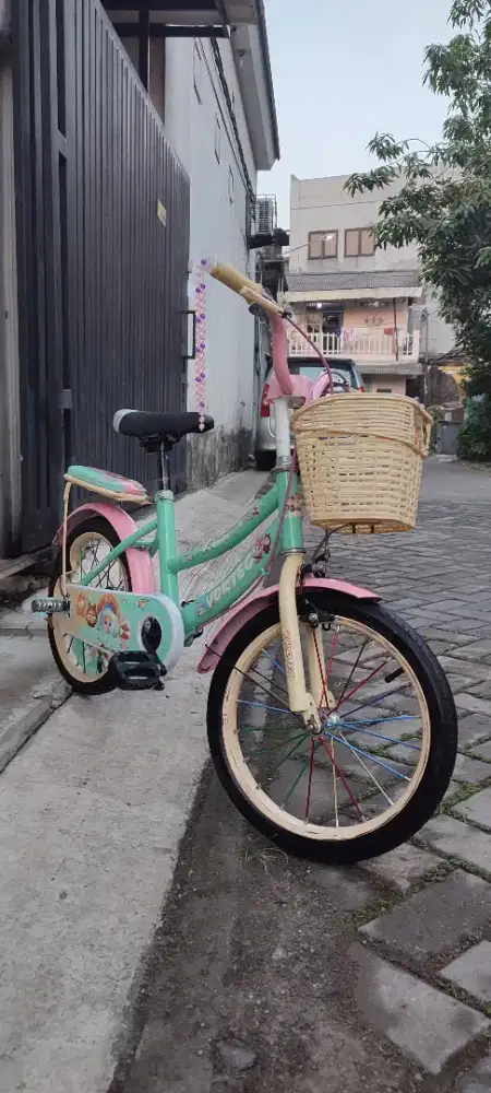 sepeda anak velg ring 16