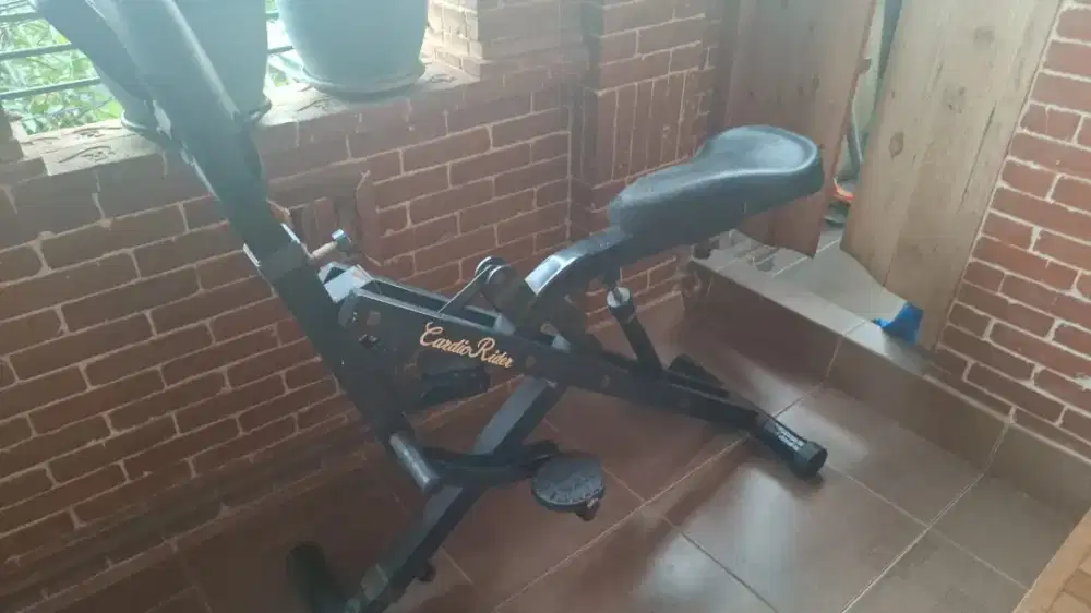 Alat Olahraga Cardio Rider Seadanya