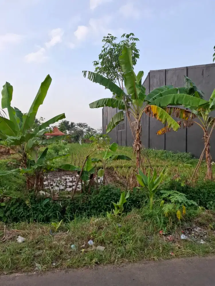 Dijual Tanah Sebrang Gerbang Universitas Kuningan