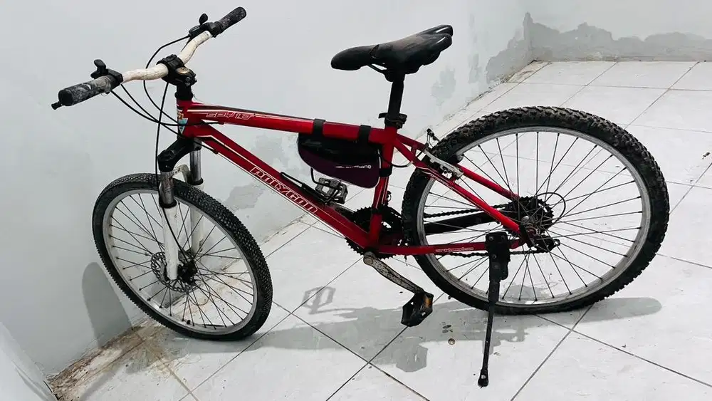 Sepeda polygon 24'