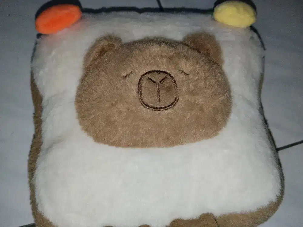 2pcs boneka boneka rakun dan boneka capybara