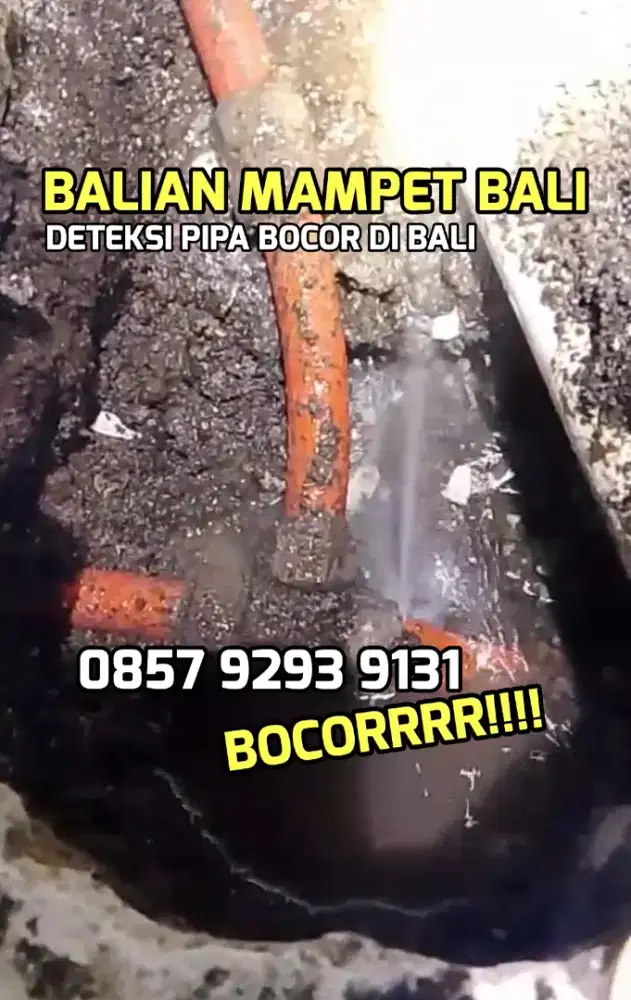 DETEKSI PIPA BOCOR BERTEKANAN DI BALI