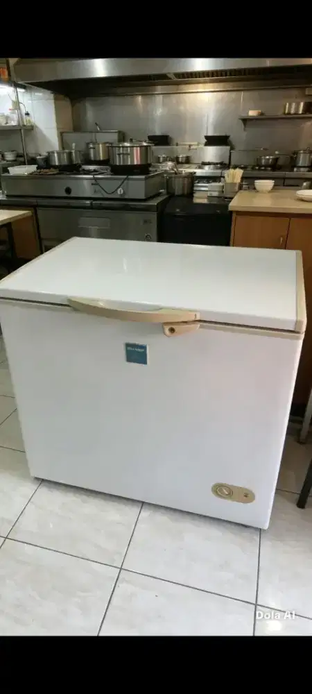 Freezer box 200L SHARP