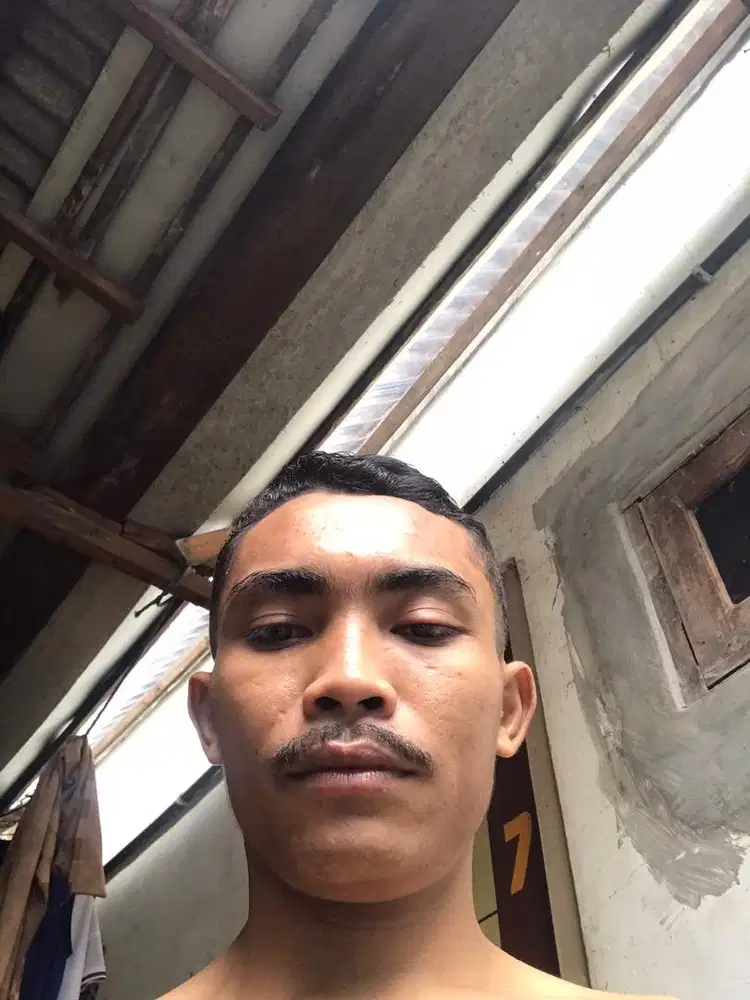 Info lowongannya bosku kerja apa saja yg halan