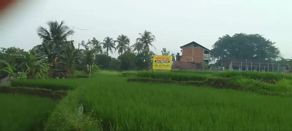 DIJUAL TANAH LUAS 2.250m^2 - COCOK UNTUK VILLA ATAU PERKEBUNAN