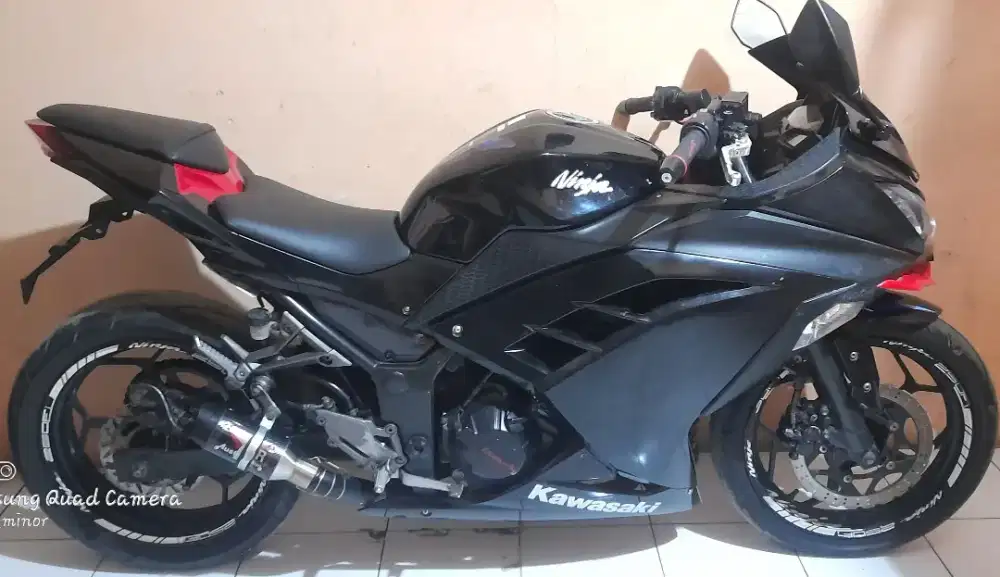 Ninja fI 250 2015