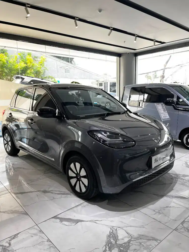 Binguo Ev Pro 333km
