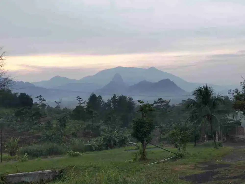 Jual Tanah Murah Tanjung Rasa Bogor