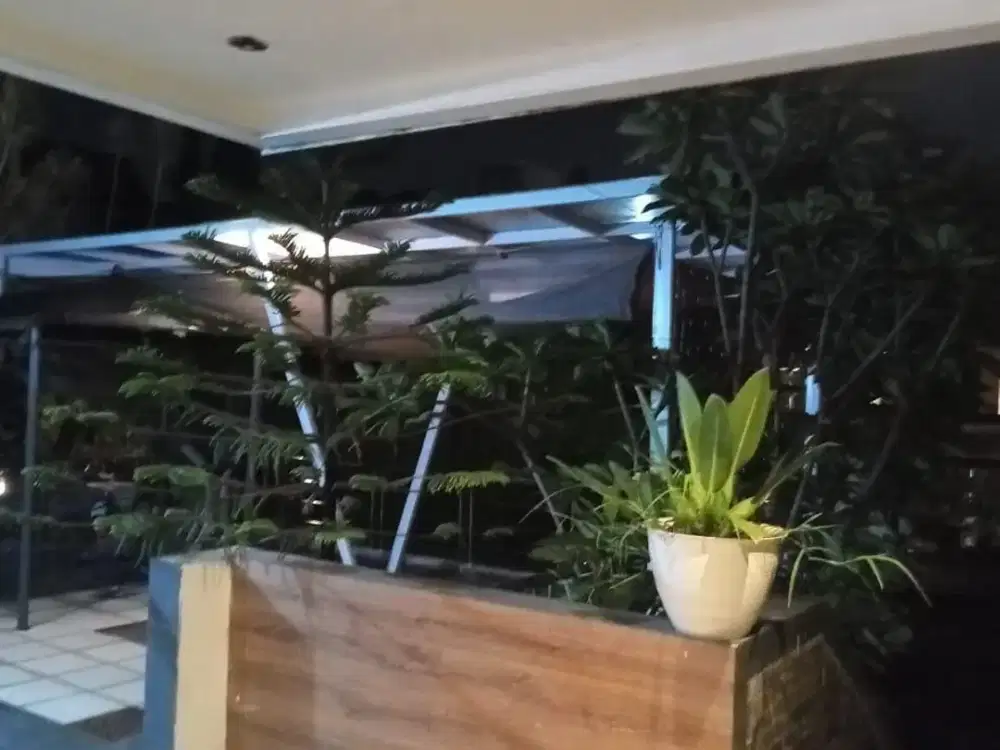 Rumah Mewah Lux Adem Strategis di Setraduta Cemara Bandung Utara