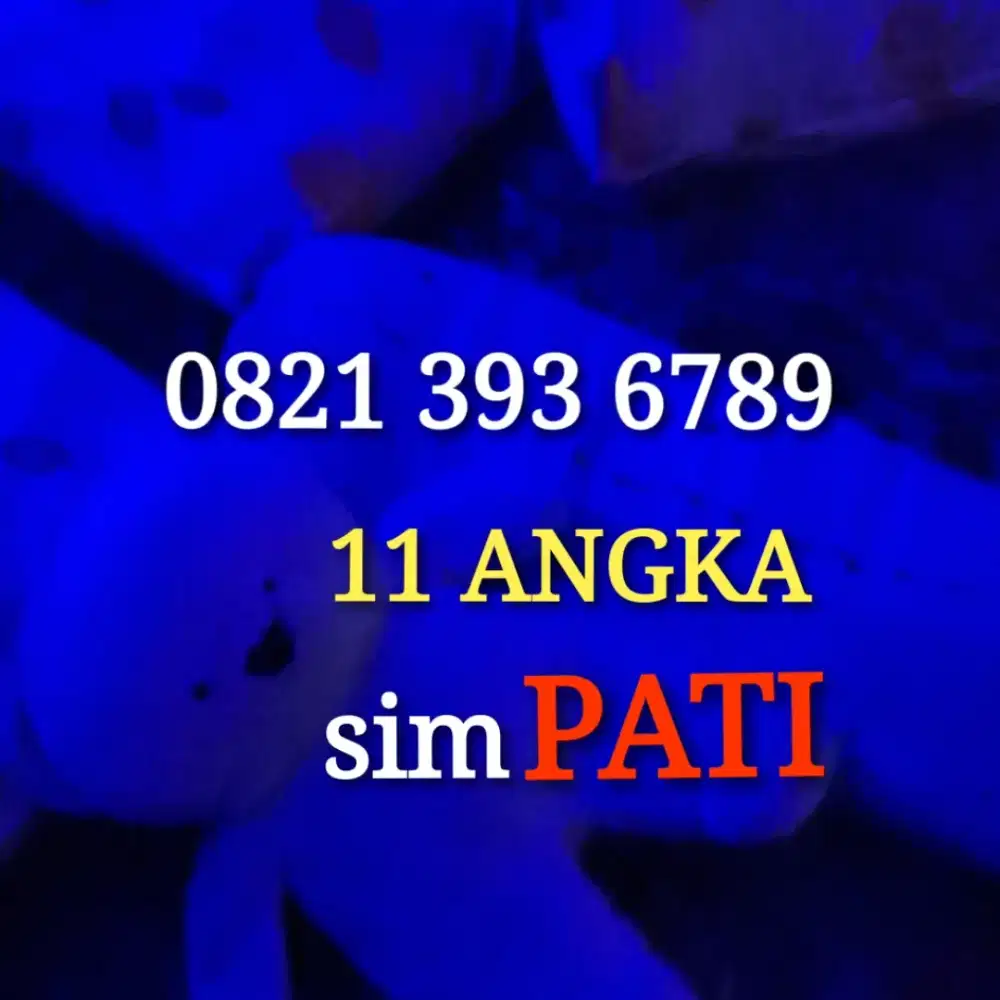 Naik 6789 nomor cantik
