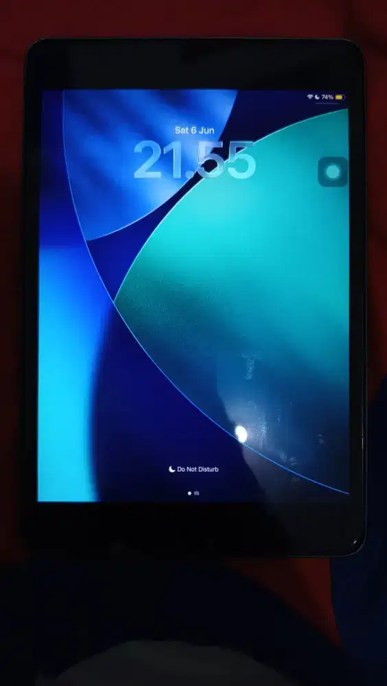 Ipad Mini 5 256 GB 4G Celluler