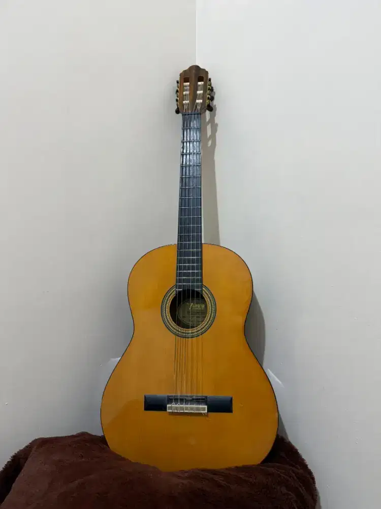 Gitar Valencia C264HVT