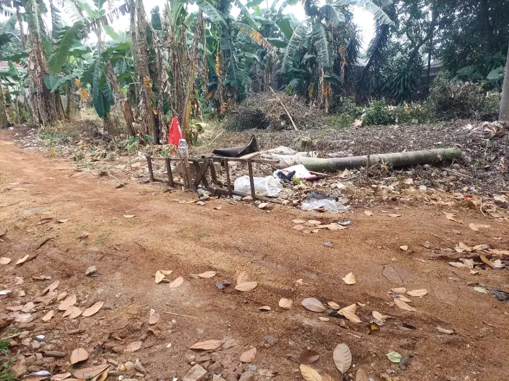 Dijual Cepat Tanah Di Kp. Pedurenan Jatiluhur Jatiasih