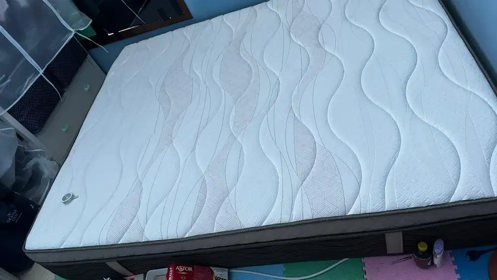 Kasur Springbed Procella Queen