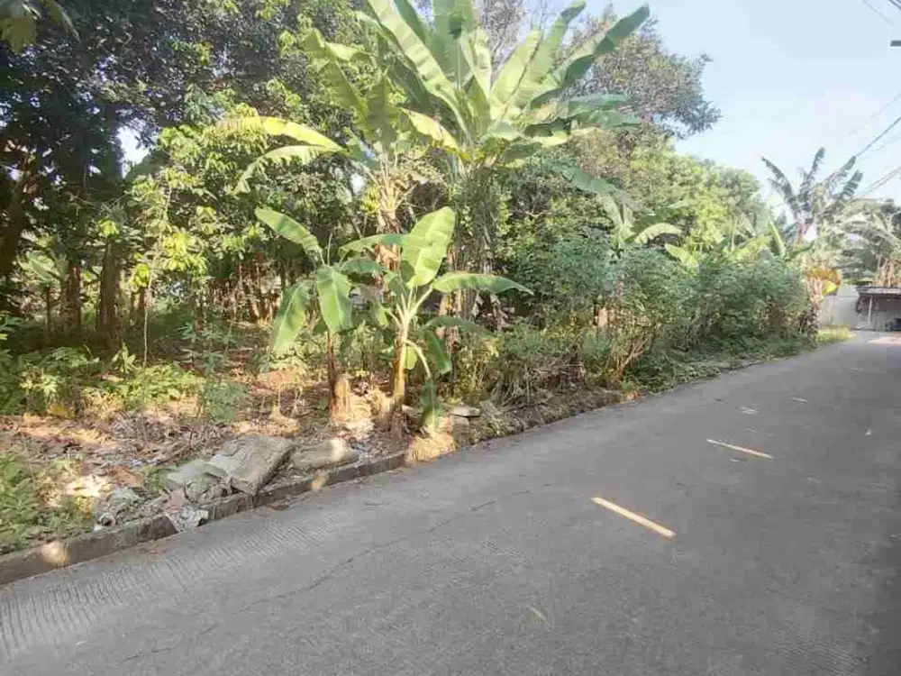 JUAL TANAH MURAH 3JUTAAN DI JATISAMPURNA BEKASI