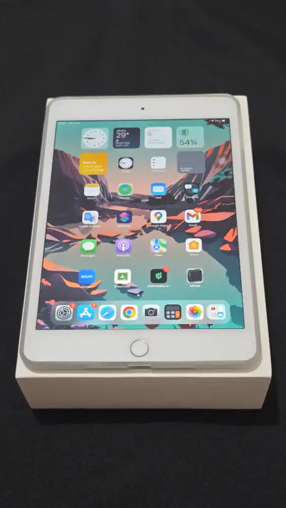Ipad Mini 4 Ex Ibox 128gb