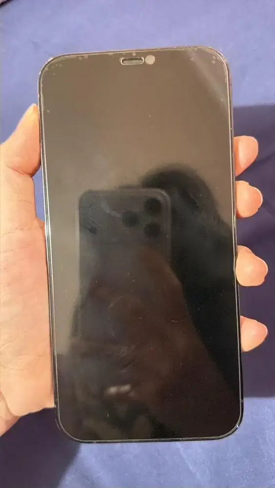Iphone 12 ProMax 256gb ex Ibox second