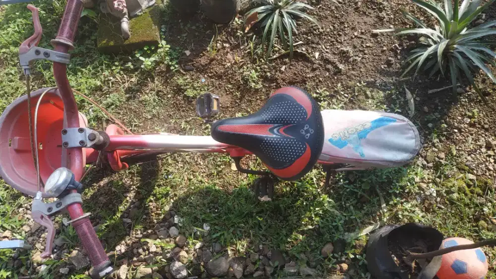 Sepeda anak perempuan