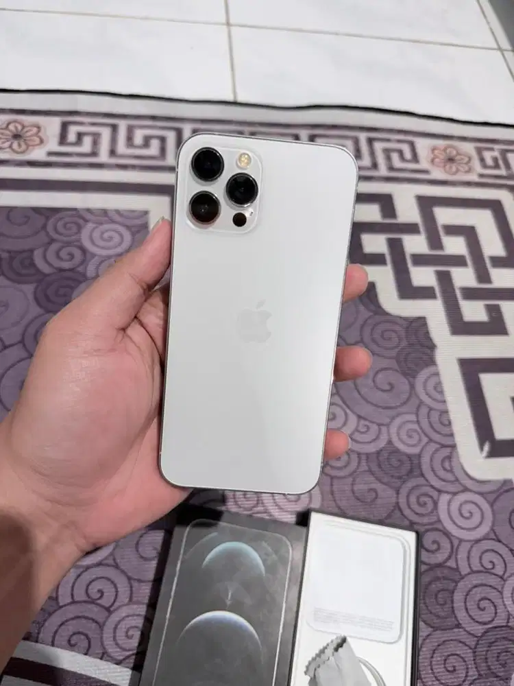 12 pro max ibox