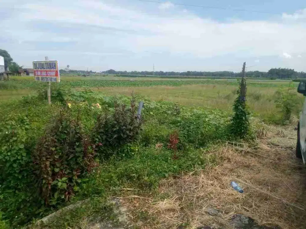 jual tanah murah harga di bawah pasar bagus untuk usaha ,rumah hunian di sekoto- Badas- kediri - jatim