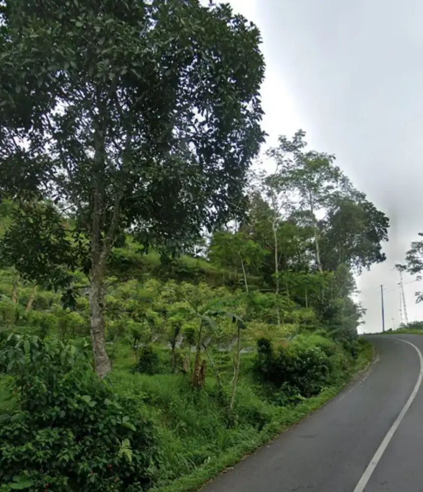TANAH PINGGIR JALAN RAYA SUMOWONO KABUPATEN SEMARANG