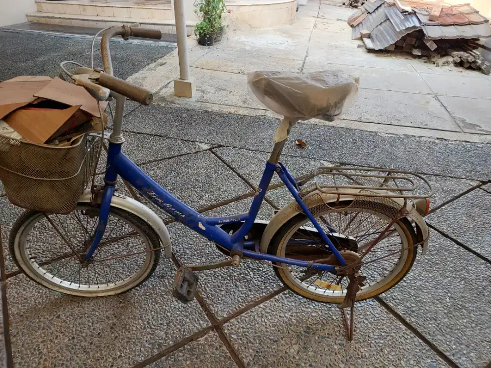 Di Jual Sepeda Biru