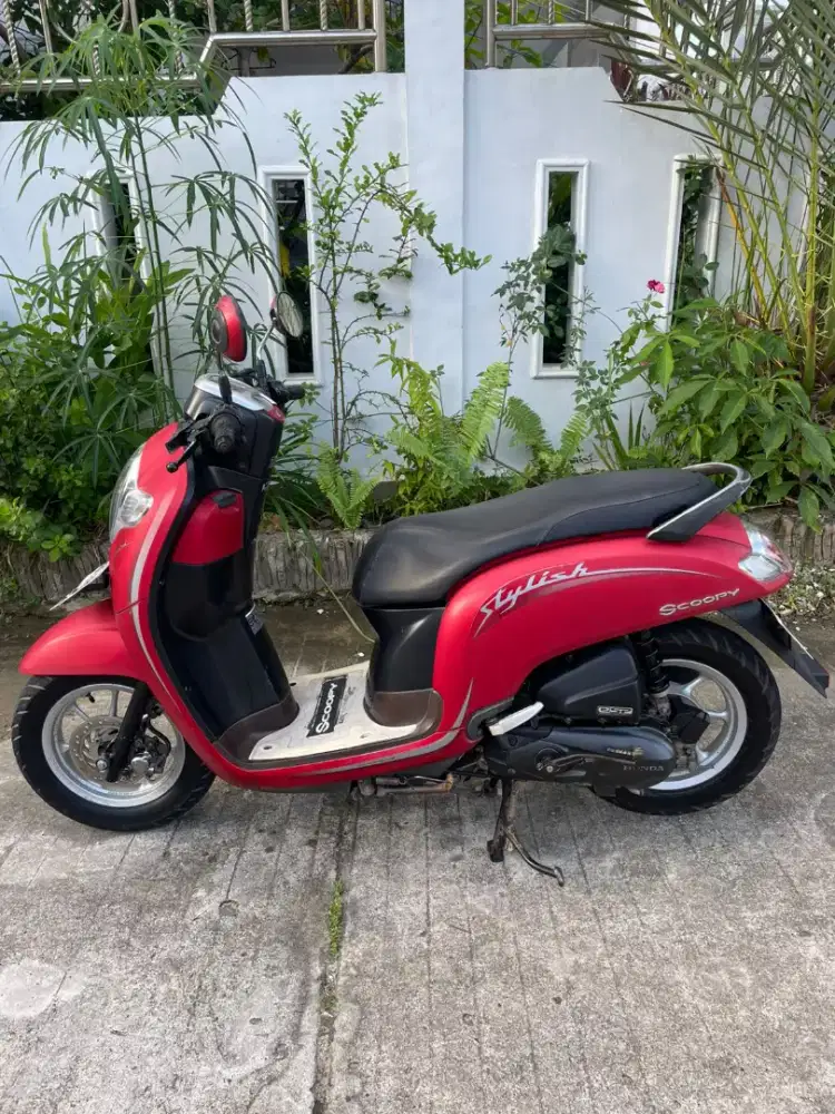 Scoopy staylish 2019