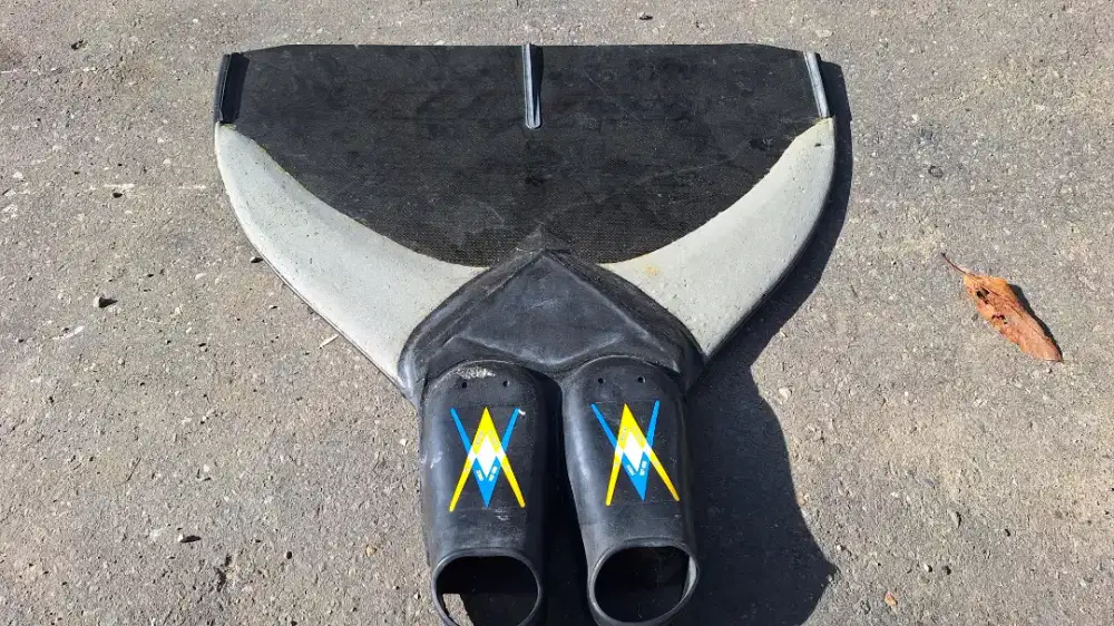 Mono fins matmas