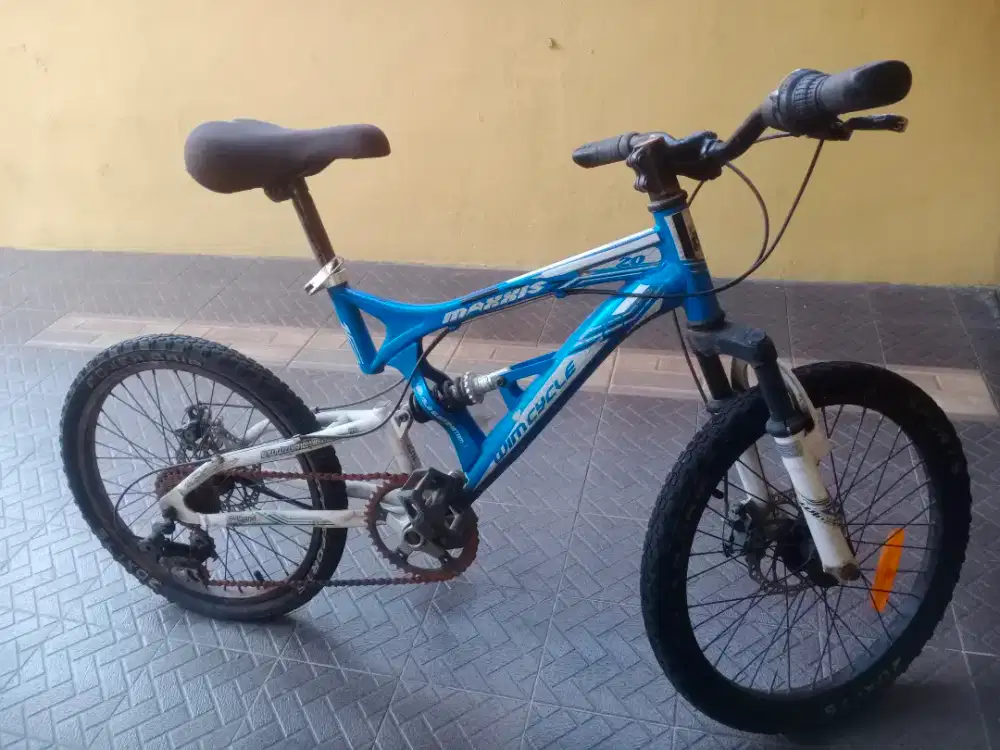 Sepeda Anak R20 Bekas