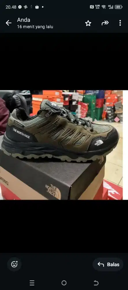 Sepatu hiking goretek anti air TNF