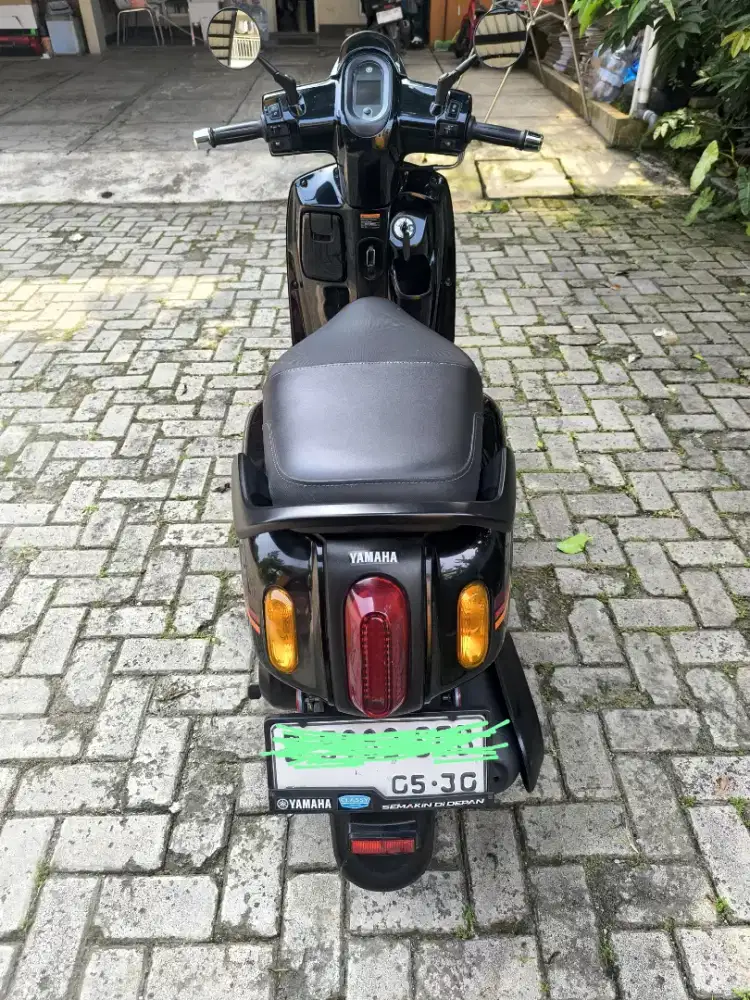 Fazzio 2025 non keyless