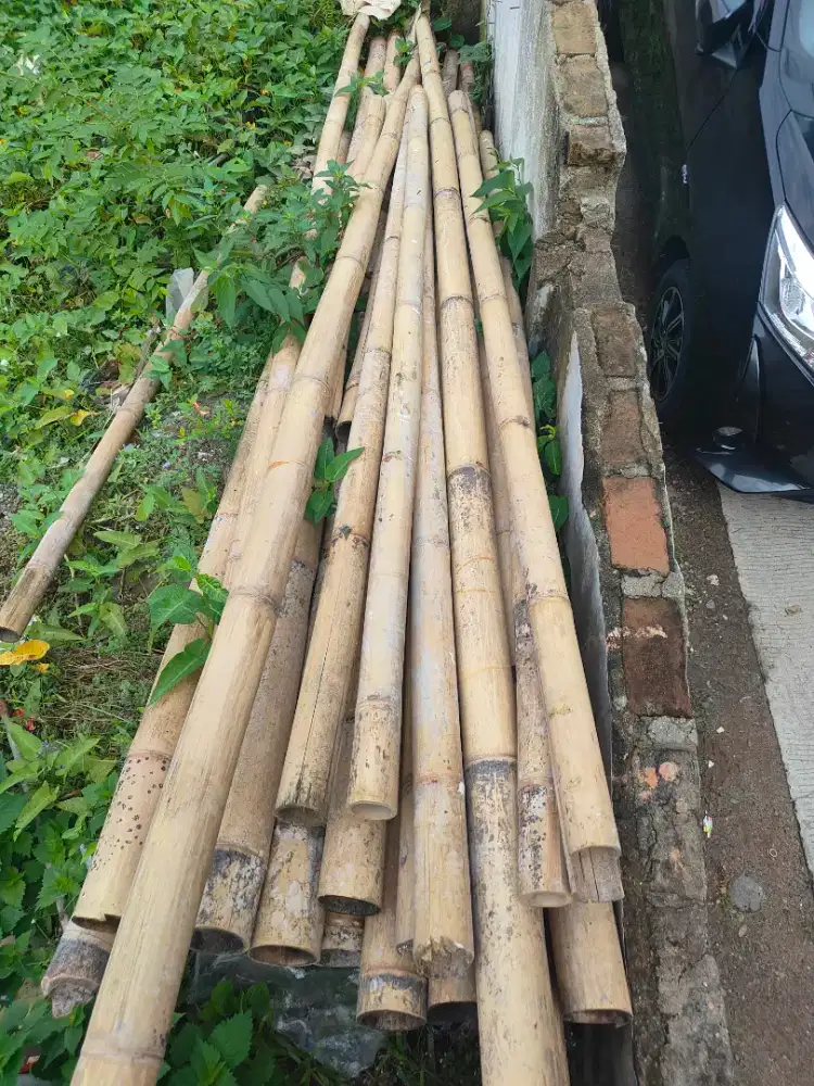 Jual bambu pamjang 6 meter