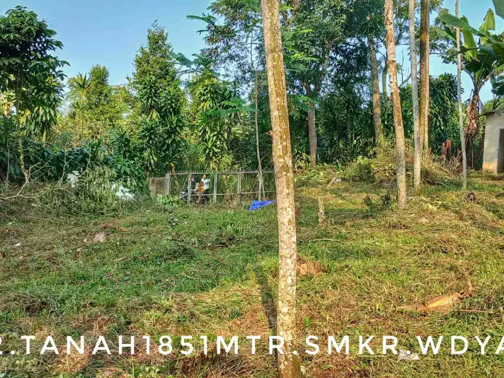 Dijual sebidang tanah kebun luas pinggir jalan strategis dekat kota