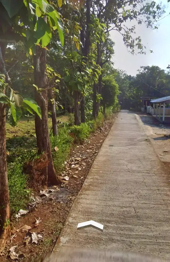 Tanah cocok u/ pabrik, KDMP, dll. 6000m² pinggir jalan.