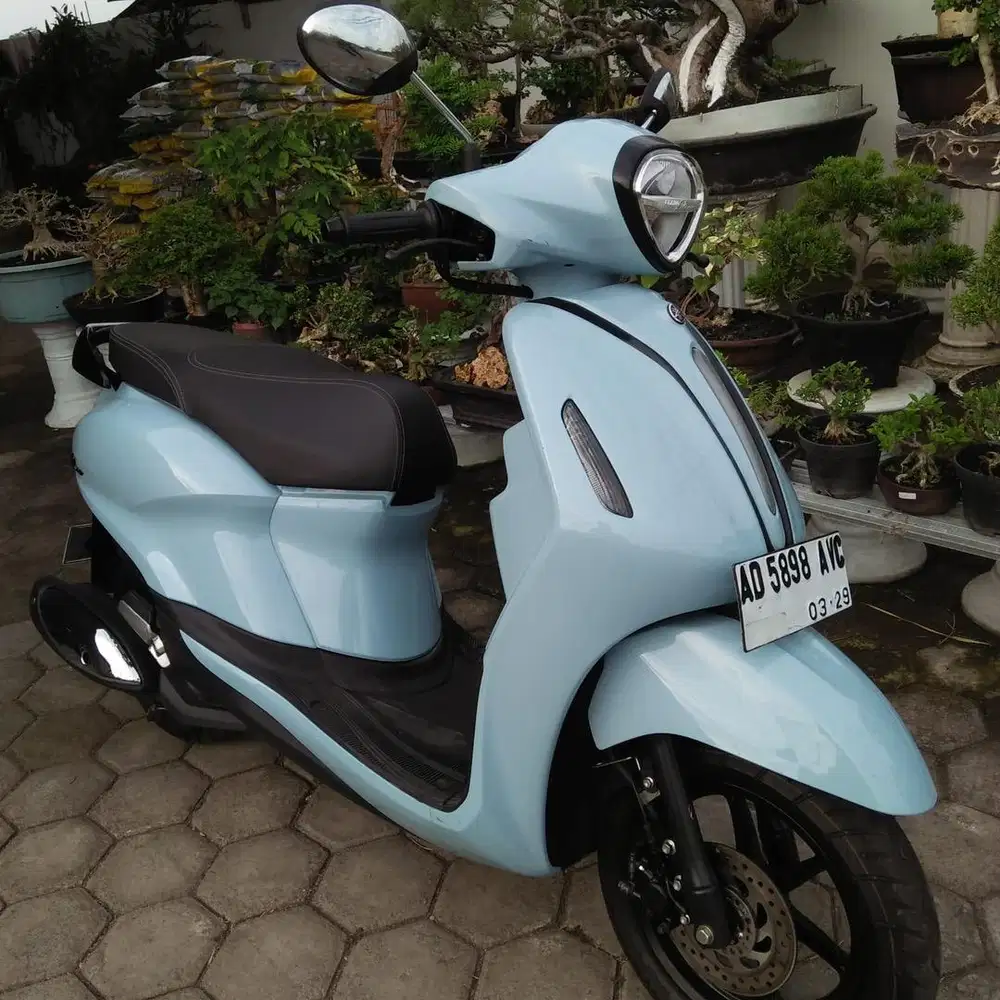 Grand Filano 2024