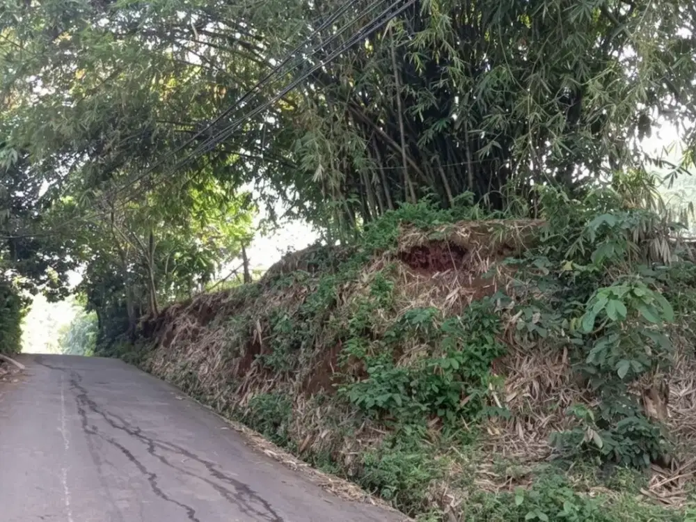 Dijual cepat harga murah lahan di Taman Mekar Sari Bogor