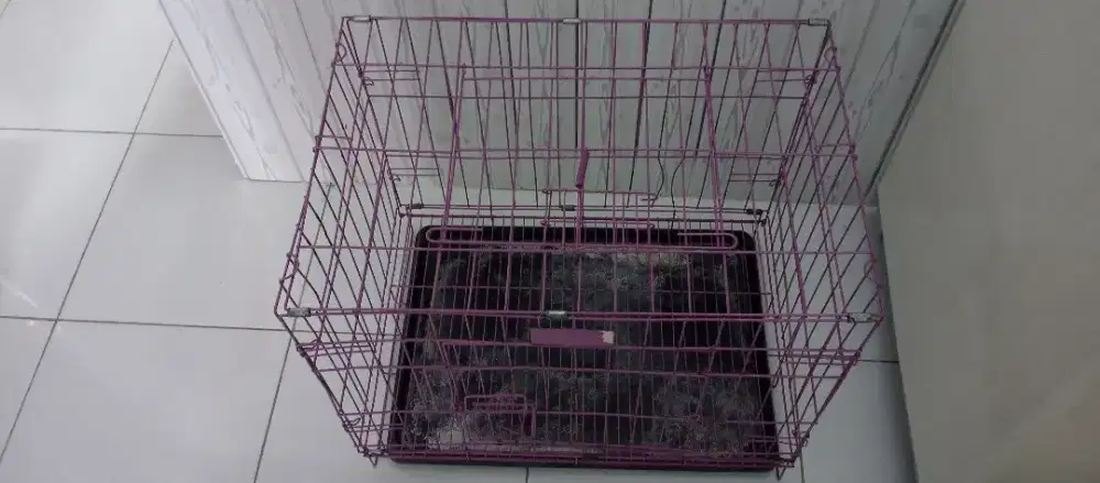 Kandang kucing atau anjing