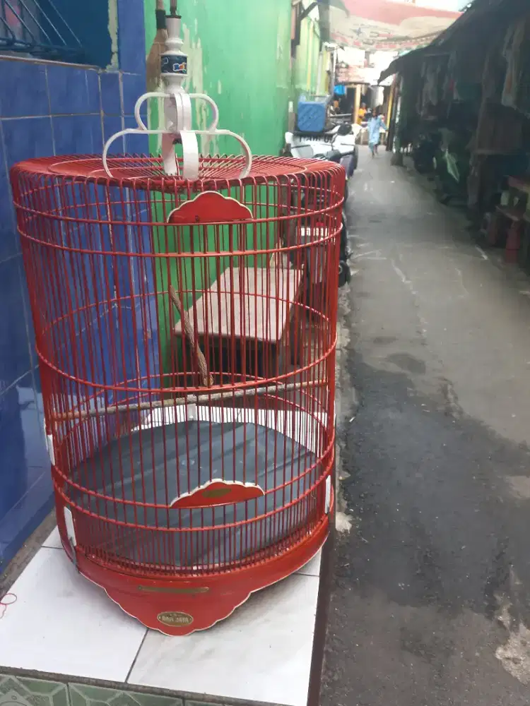 Kandang murai rafi no 2