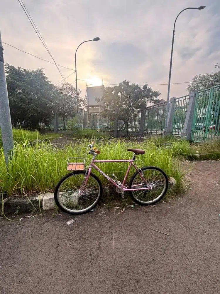 federal city cross