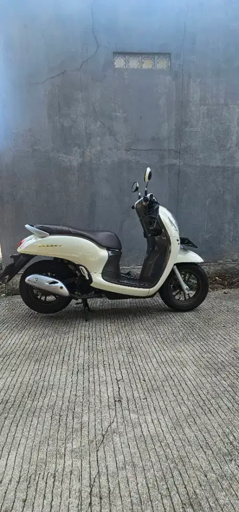 Scoopy 2024 prestige