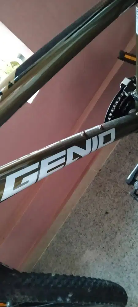 SEPEDA GENIO MASIH BAGUS