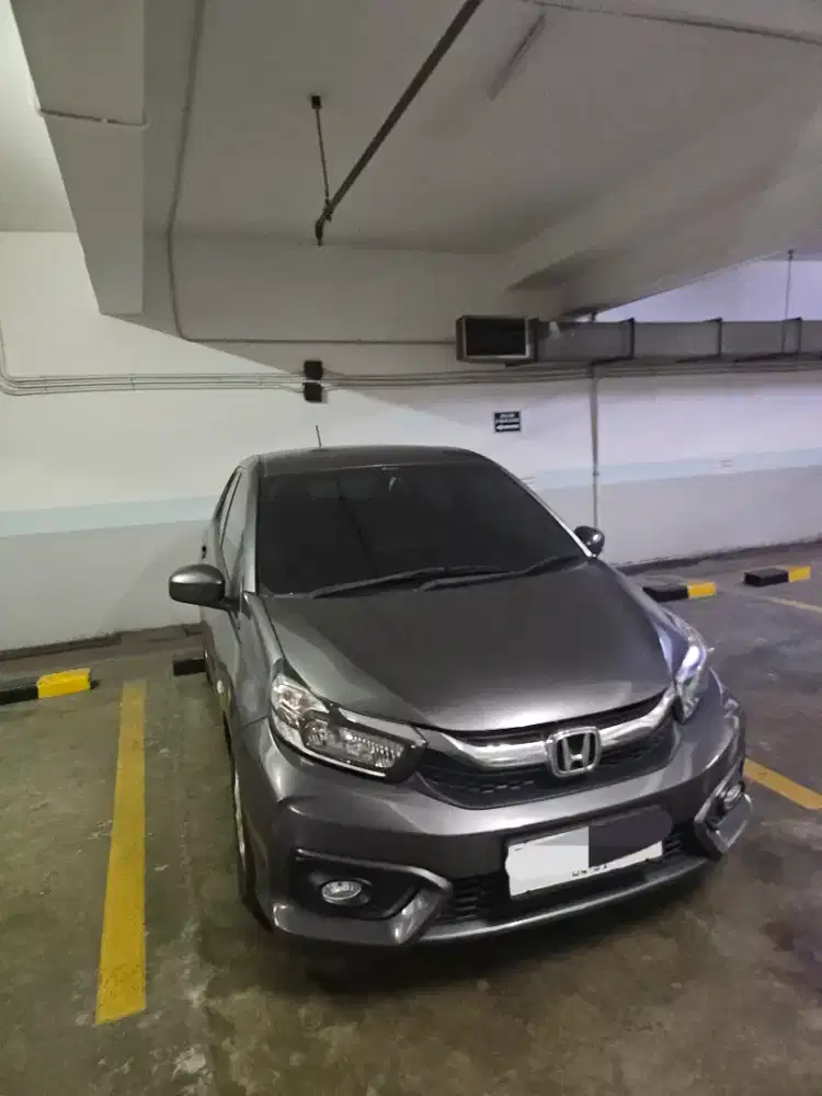 Brio siap diadopsi