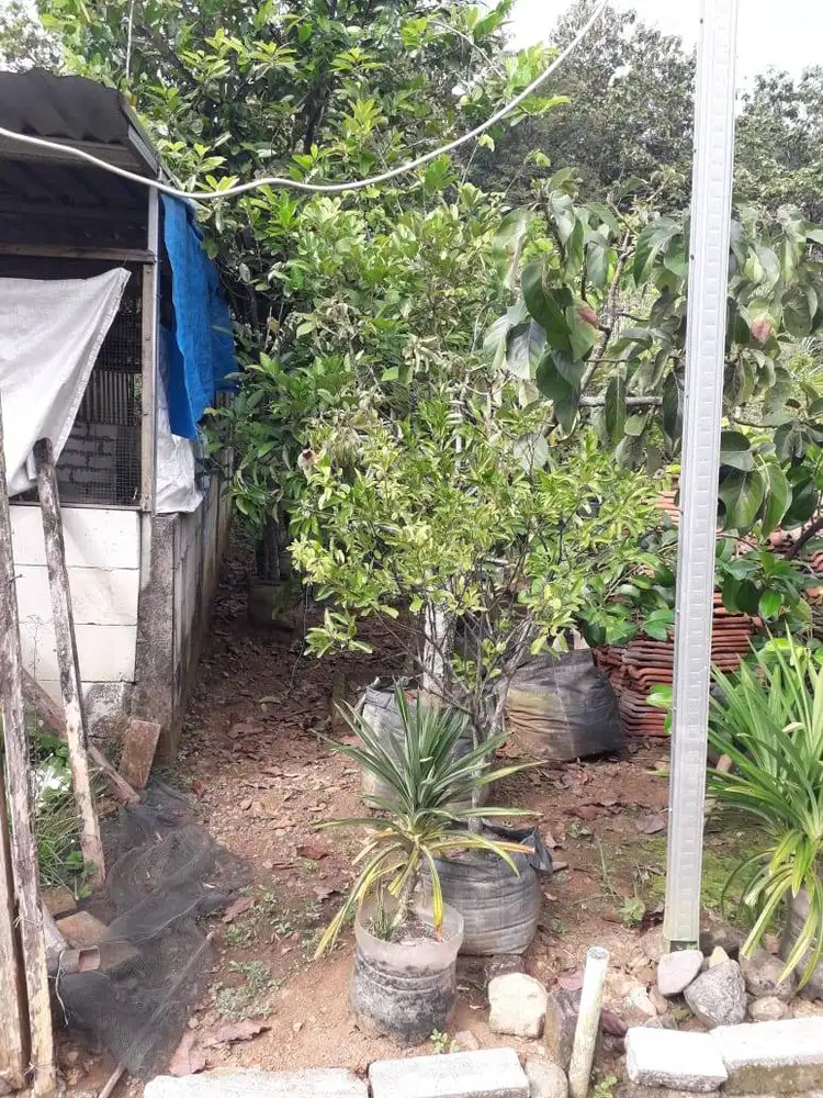 Dijual tanah pedesaan dekat Gerbang Tol Bandara Adi Sumarmo