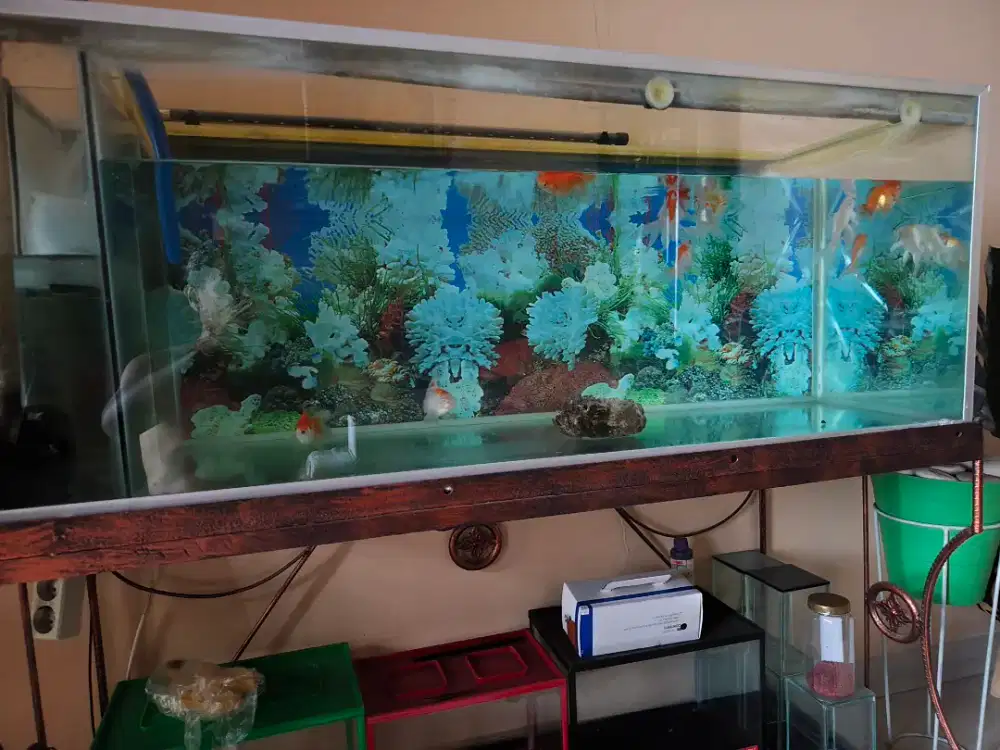 Jual Aquarium ukuran 150cm