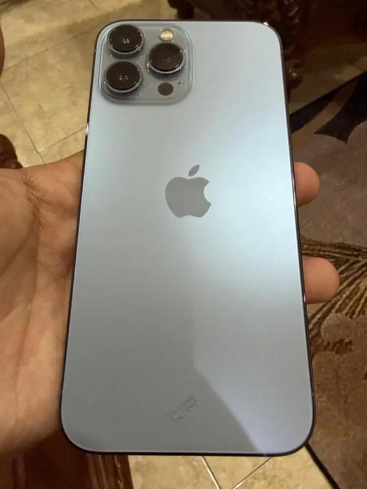 Iphone 13 promax