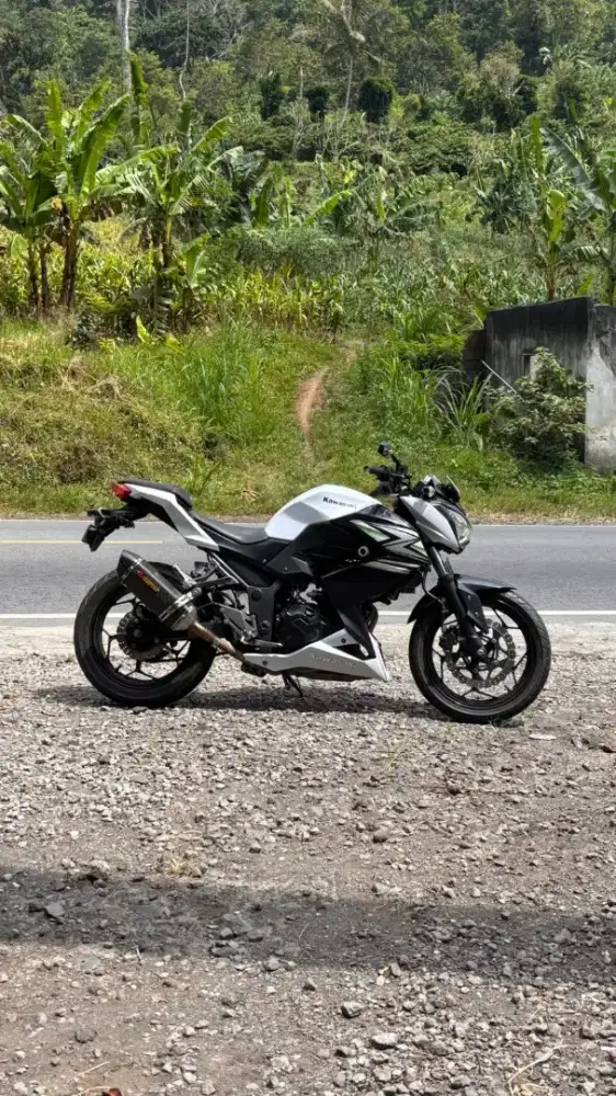 Jual motor ninja Z250 naked